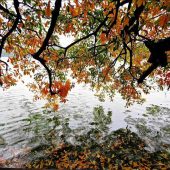 土井弁理士のお知らせ